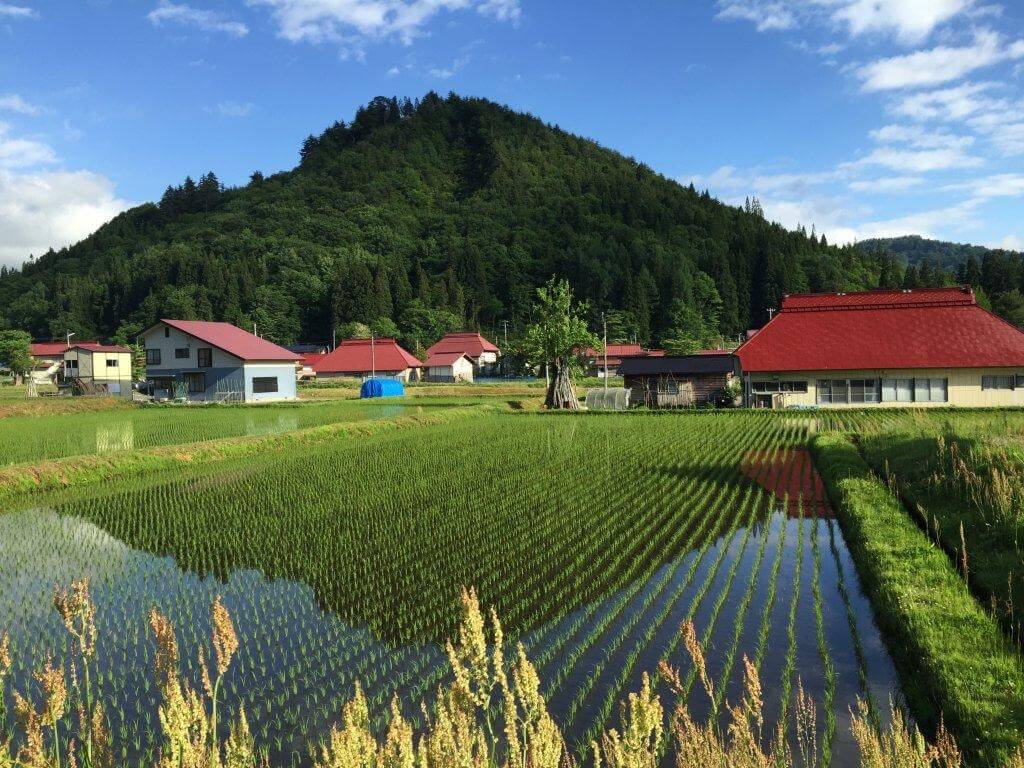 菅家麻弓さんが最初に住んだ福島県昭和村大芦地区